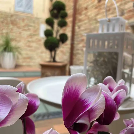 Albornoz Bed & Breakfast 4*