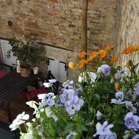 Bed & Breakfast Albornoz Urbino
