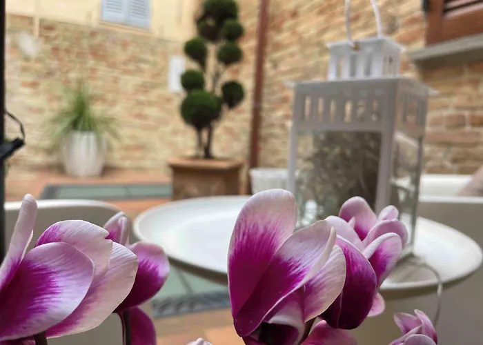 Albornoz Bed & Breakfast 4*